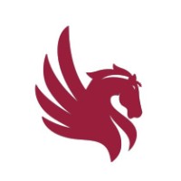 Pegasus Financial Planning Logo