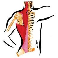Performance Rehab Logo