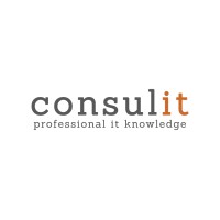 Consulit - Professional IT Knowledge Logo