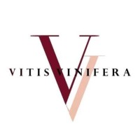 Vitis Vinifera Logo
