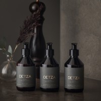 DETZA Logo