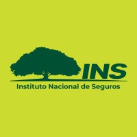 Grupo INS Logo