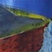 Optical Fusion Software Services Pvt Ltd Logo