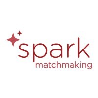 Spark Matchmaking Logo
