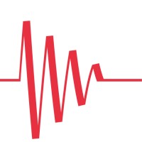 Stiftung für Baudynamik und Erdbebeningenieurwesen Logo