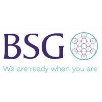 BSG Transformation Services Logo