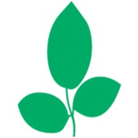 Wellness Therapies Logo
