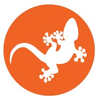 Focused Coaching UK Logo