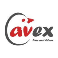 Avex Egg Logo
