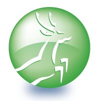 Van den Brink & Schuiteman Assurantien B.V. te Putten Logo