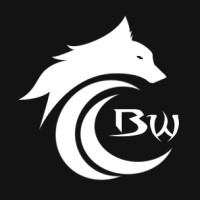 Grupo BW Logo