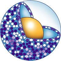 BlueWillow Biologics, Inc. Logo