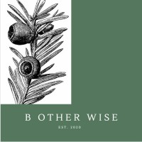 B Other Wise Ltd Logo