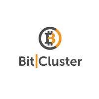 Bitcluster.ru Logo