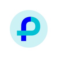 Paylize Logo