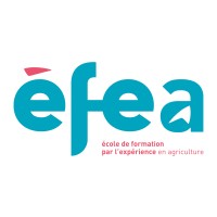 ÉFEA Logo