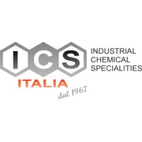 ICS Italia srl Logo