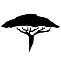 Acacia Languages Logo