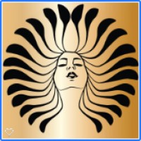 Hair Story Logo