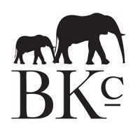 The Brooklyn Circus Logo