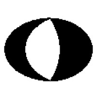 Costantini and Partners Logo