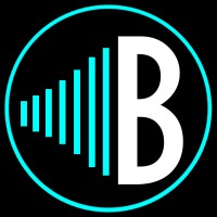 Birmingham Streams Ltd Logo