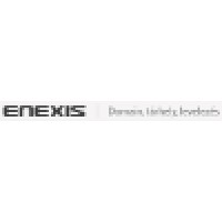 ENEXIS Ltd. Logo