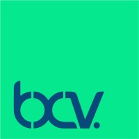 BXV Consulting Logo