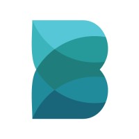 BB Array Logo