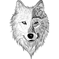 risingfalling.co Logo