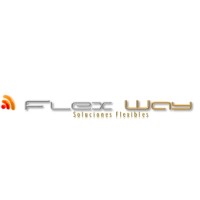 Flex Way Logo