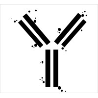 immunitoAI Logo