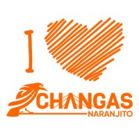 Changas de Naranjito Volleyball Club Logo
