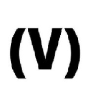 (V)anim Infotech Logo