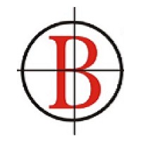 Benchmark Site Development Logo