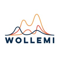 Wollemi.io Logo