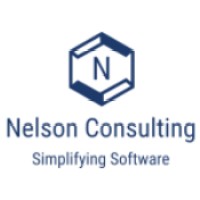 Nelson Consulting Logo