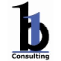B1 Consulting bv Logo