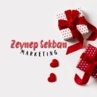 Zeynep Sekban Marketing Logo