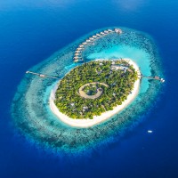 Park Hyatt Maldives Hadahaa Logo