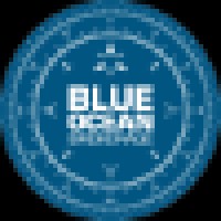 Blue Ocean Brokerage Logo