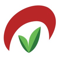 AMVESINDO Logo