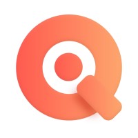 IQ Video Solutions Logo