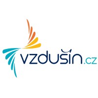 Vzdušín Logo