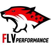 FLV Performance Logo