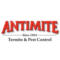 Antimite Termite & Pest Control Logo