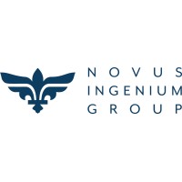 Novus Ingenium Group Logo