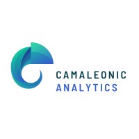 Camaleonic Analytics Logo