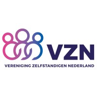 VZN Logo