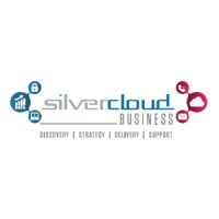 The Silver Cloud Business Logo